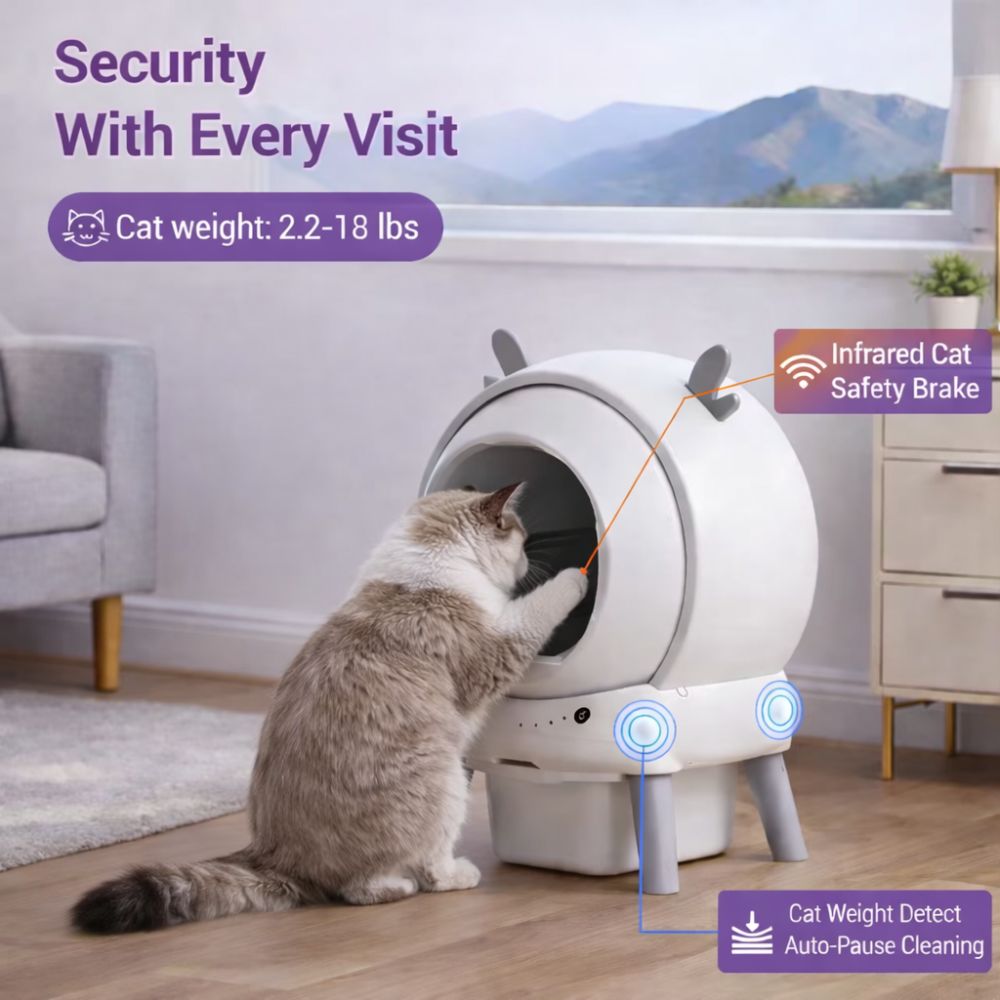 Modern enclosed cat litter box designed for stylish living spaces